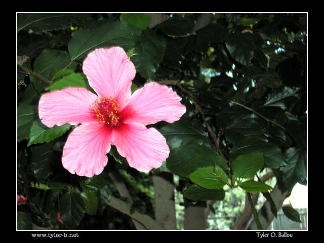 Bonfante Gardens 07 - Gilroy, CA