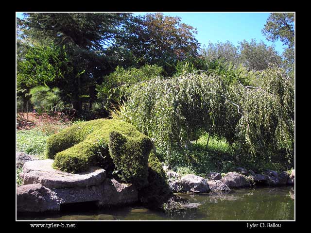 Bonfante Gardens 08 - Gilroy, CA