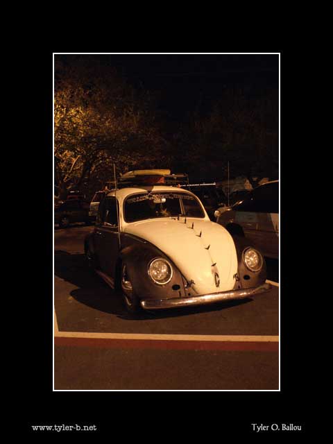 Fallen Angel Bug