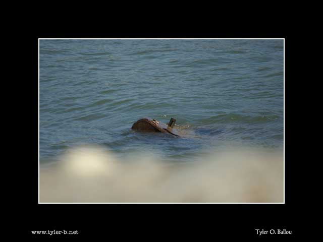 Gas Tank in water