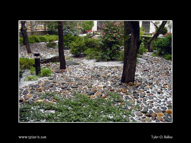 Hail in the courtyard