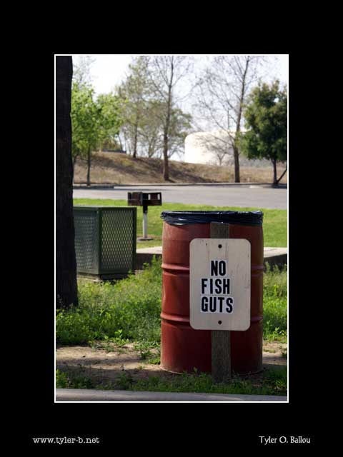 No Fish Guts