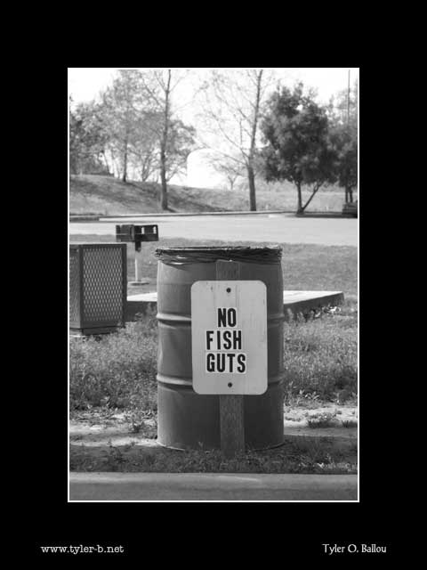 No Fish Guts