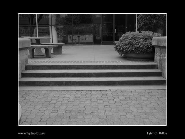 Courtyard Steps