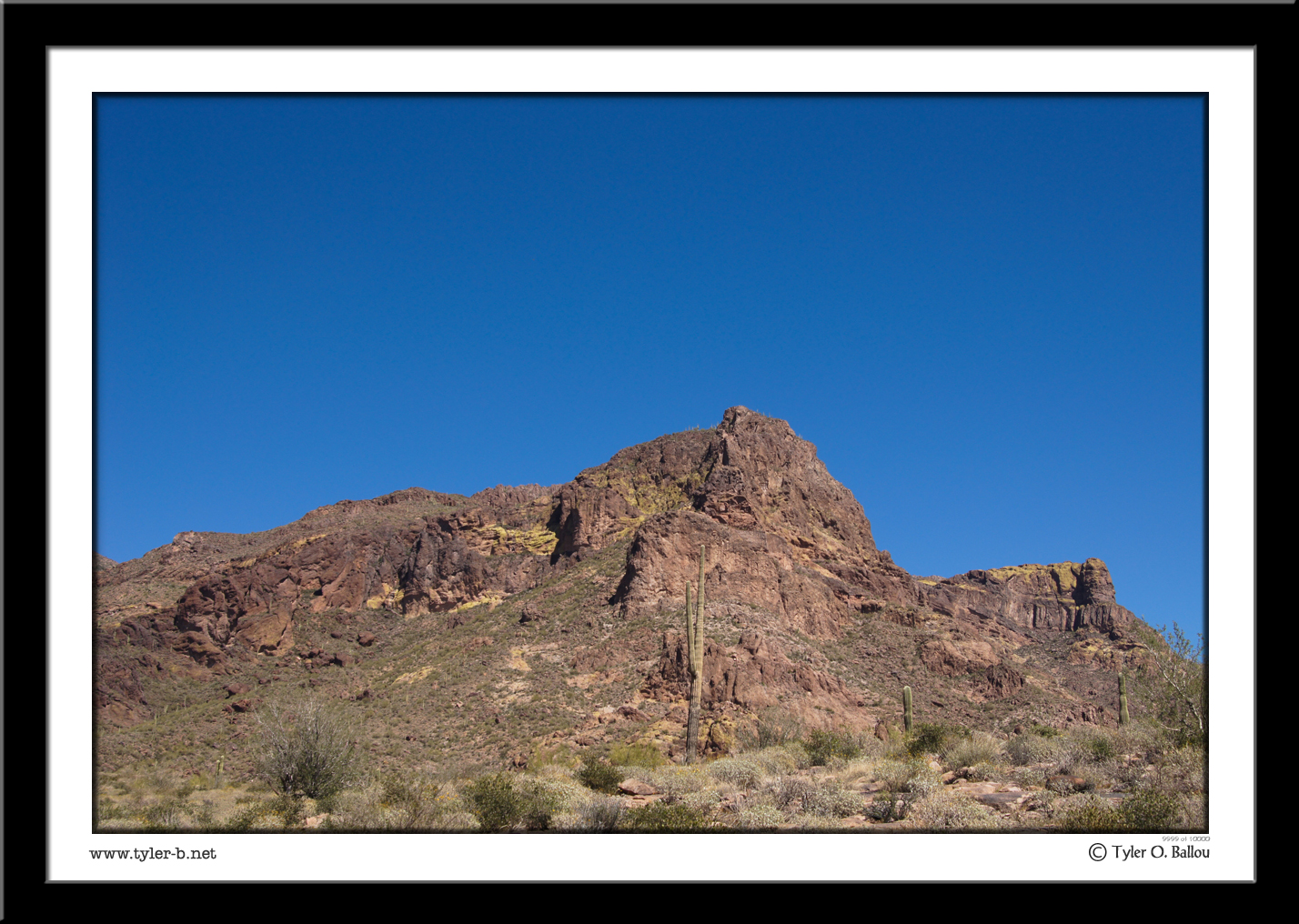 Arizona Mountains