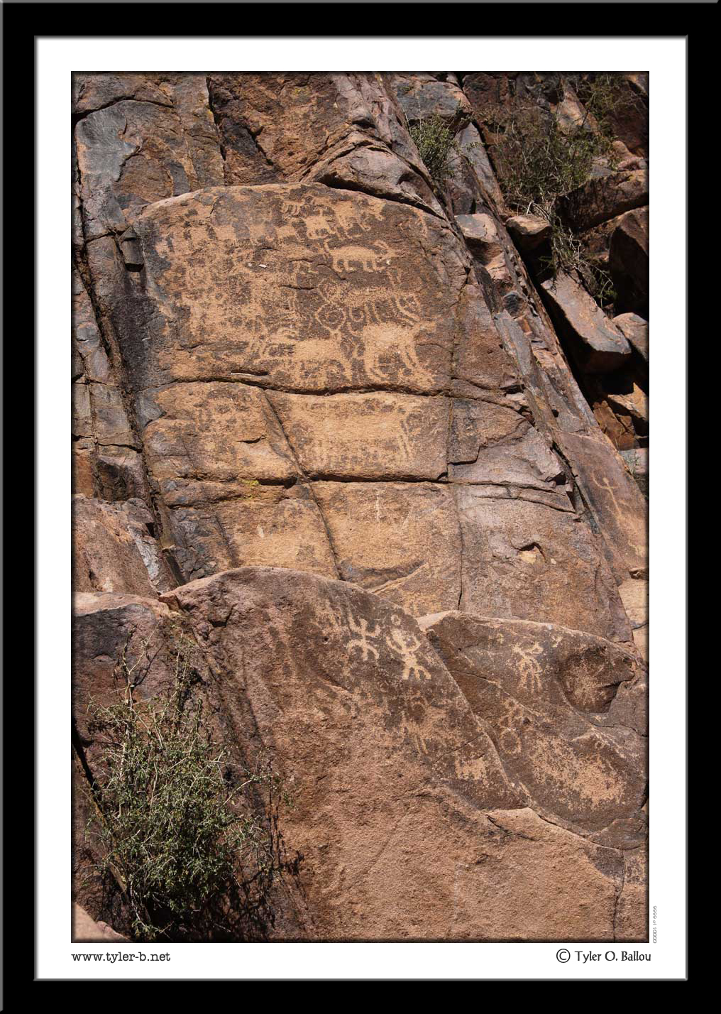 Arizona Petroglyphs