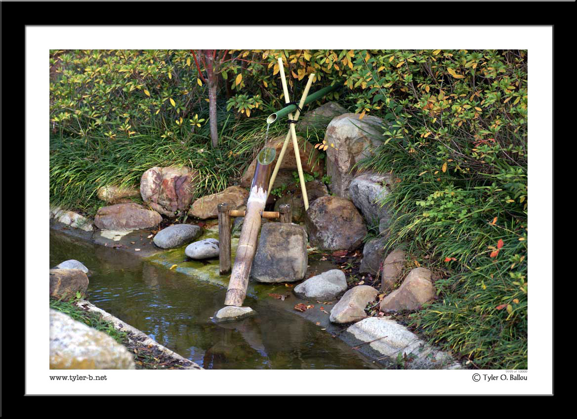 Harmann Park - Japanese Garden 02