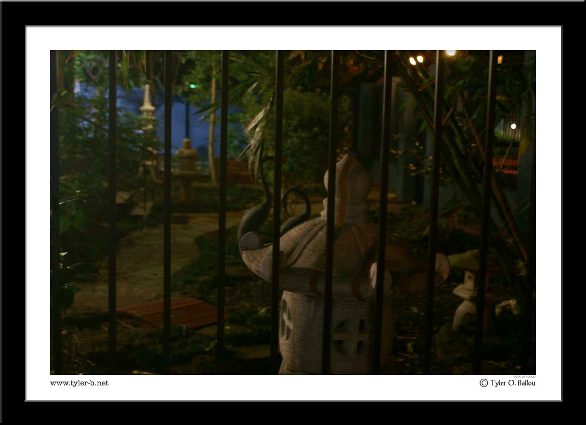 Japanese Garden (Night)