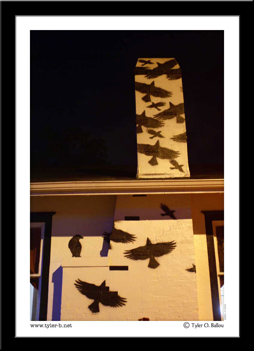 The Birds (Night)