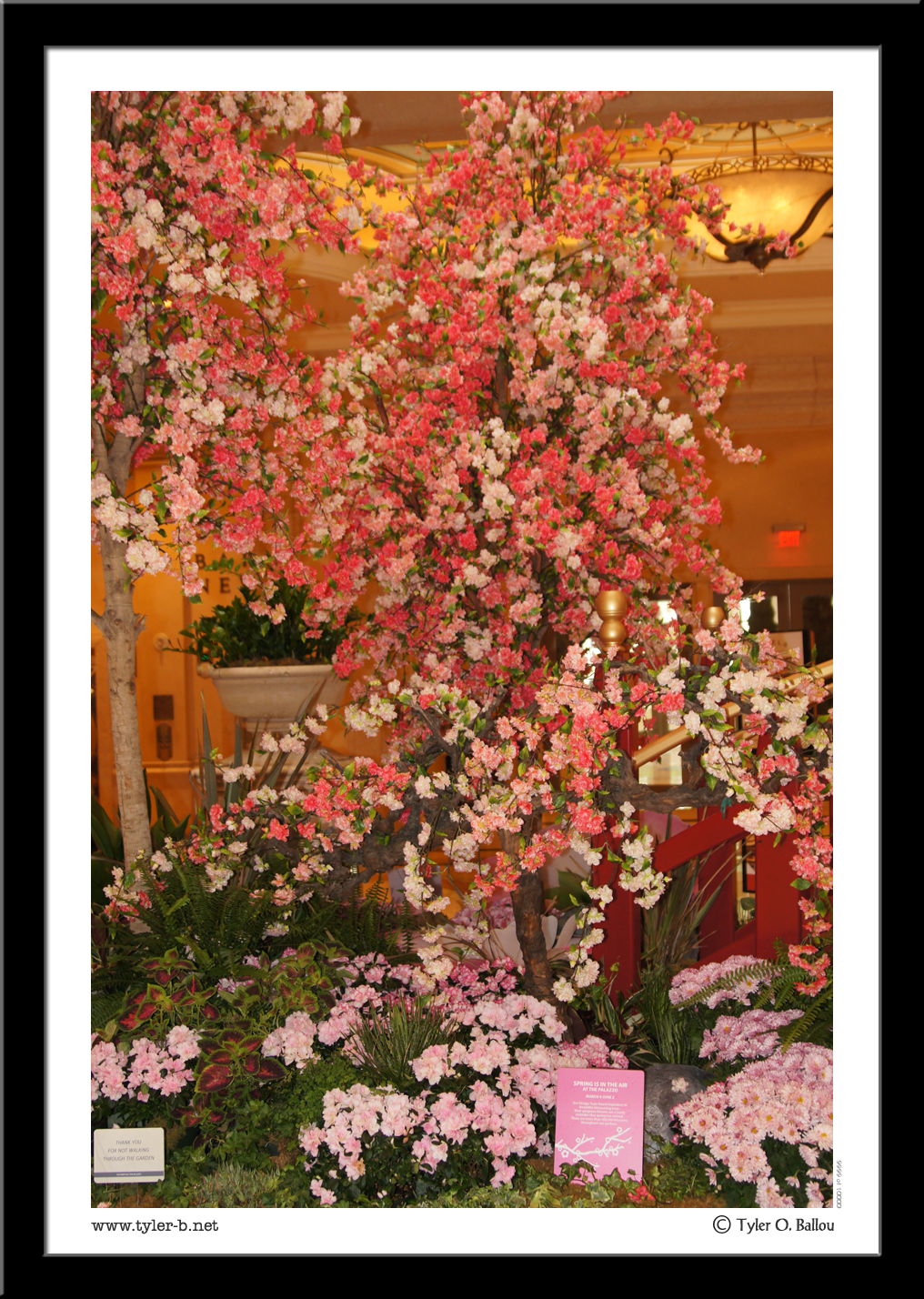 Art Tree 01 - Las Vegas, NV - 2013