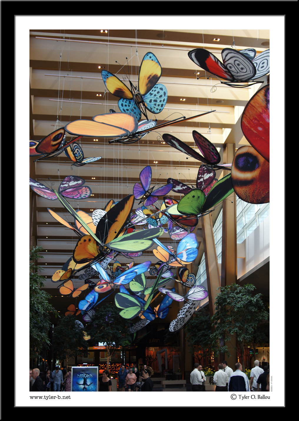 Butterflies - Las Vegas, NV - 2013