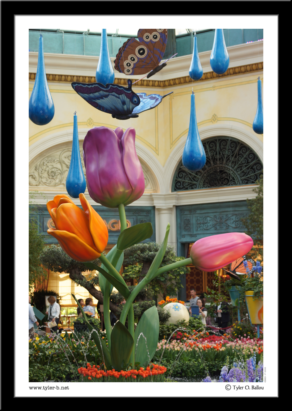 Giant Flowers - Las Vegas, NV - 2013