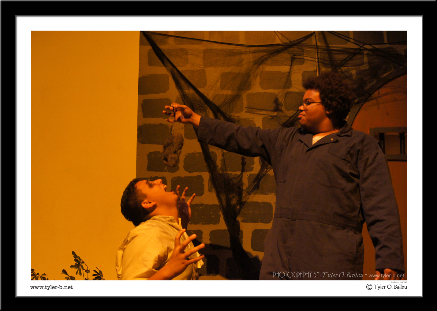 Dracula - A Theatre Production