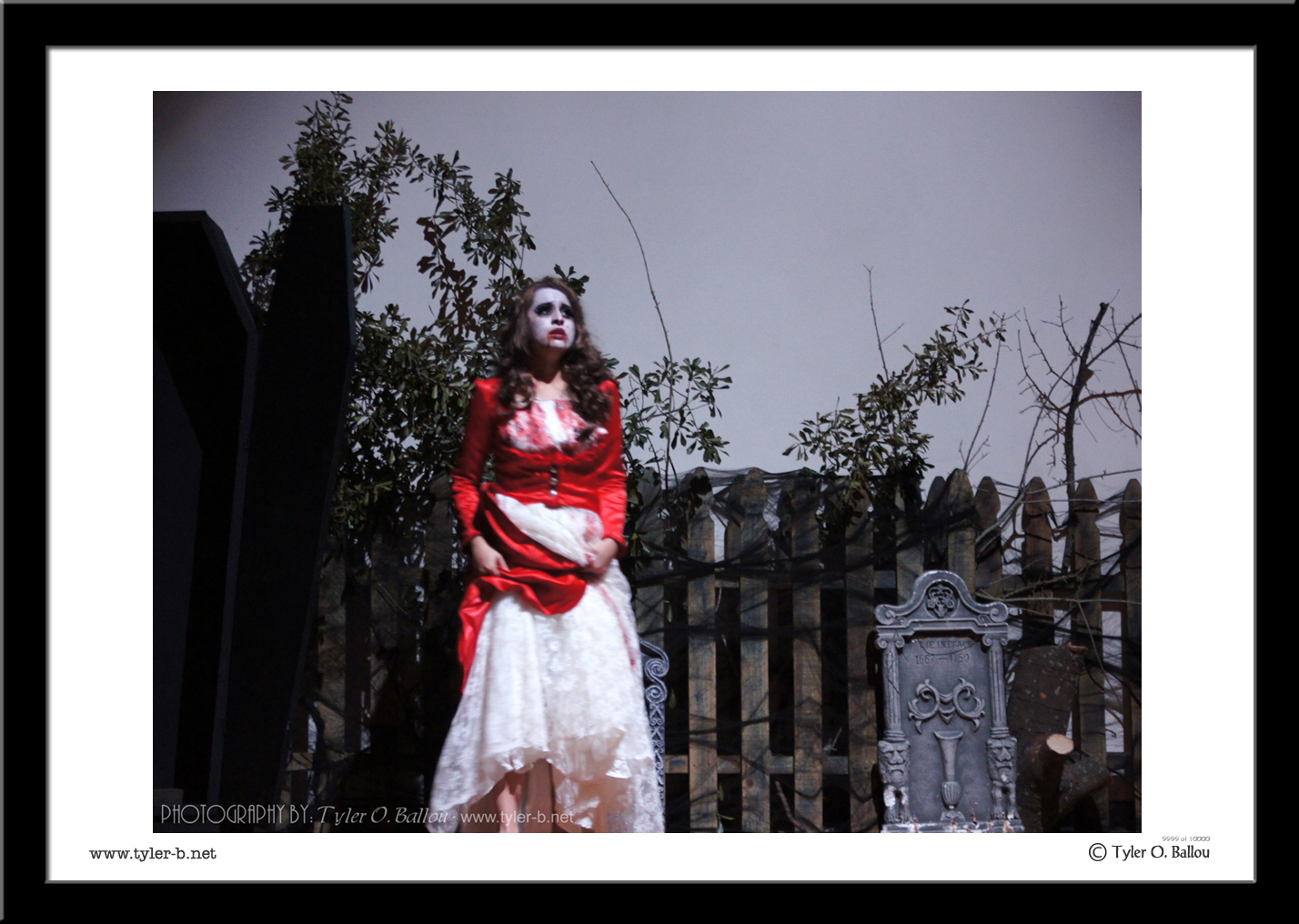 Dracula - A Theatre Production