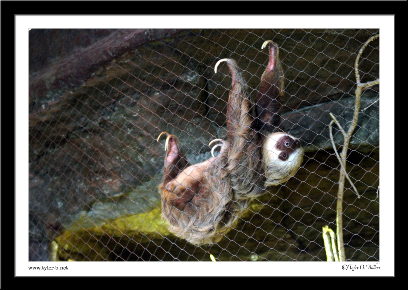 Dallas World Aquarium (And zoo) 12 - Dallas, TX